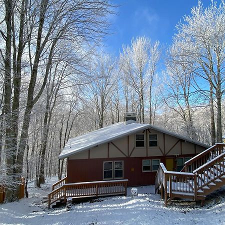 Cozy Cabin With Boosted Wi-Fi Beech Mountain Kültér fotó